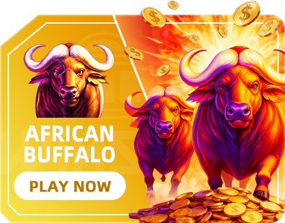 AfricaBuffalo